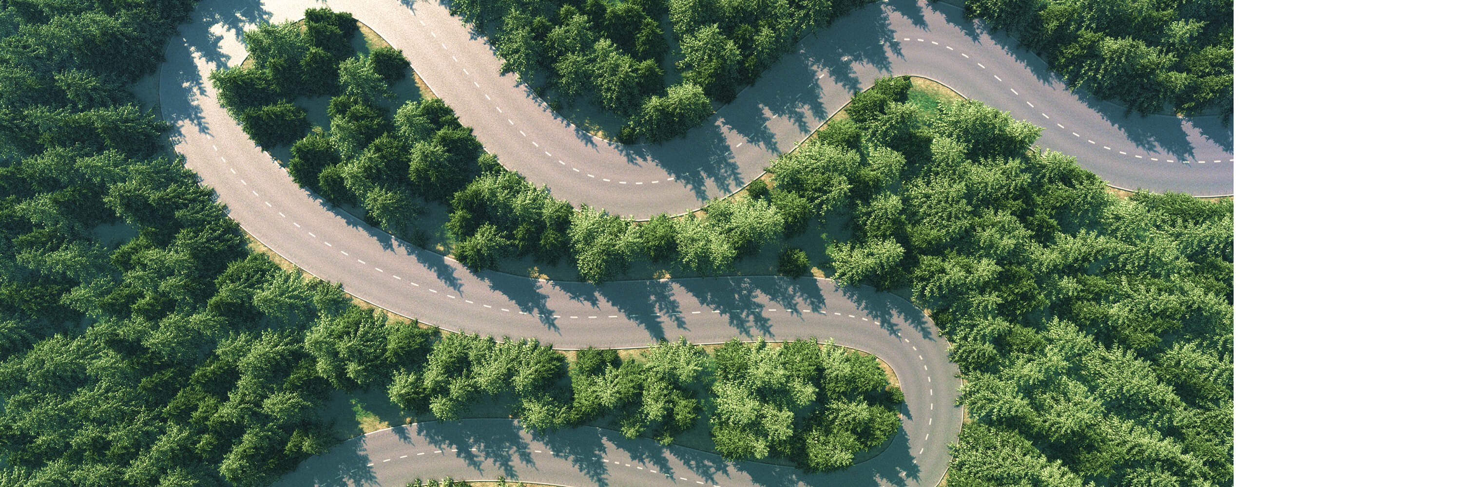 Road To COP28
